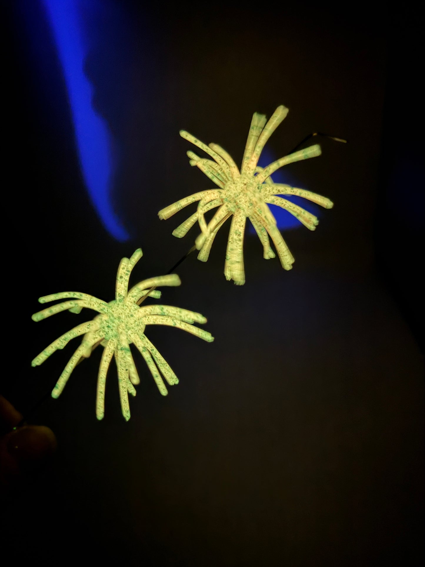 Soft Plastic Urchin Style Bait (Glow)