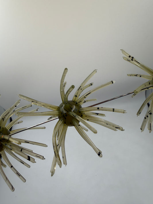 Soft Plastic Urchin Style Bait
